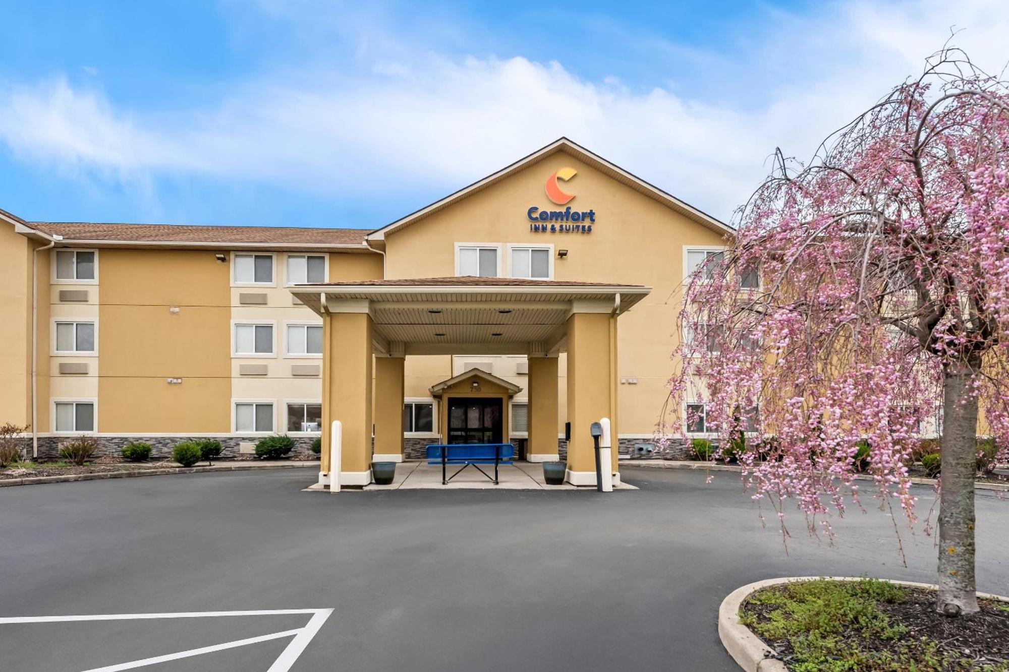 Comfort & Near Wright Patterson Afb 3*